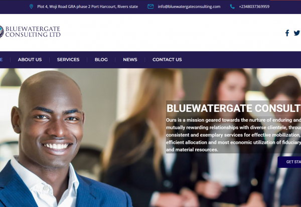 Bluewatergate consulting